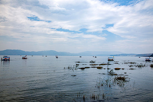 đọc kèo bóng