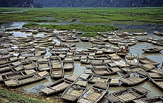 ảnh gà đá cựa sắt đẹp